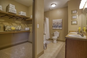 1 Bedroom Apartments For Rent in San Antonio, TX - Model Bathroom 